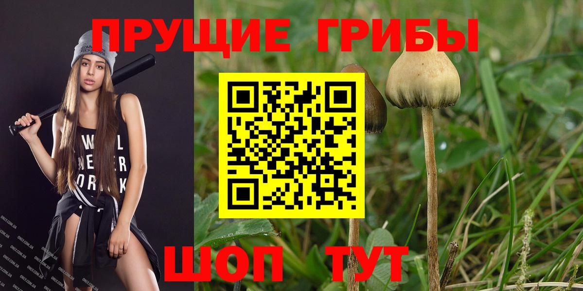 Меф кристаллы  Гашиш  Каннабис  Кокаин  Alpha-PVP СК   Кольчугино  Вход с VPN 