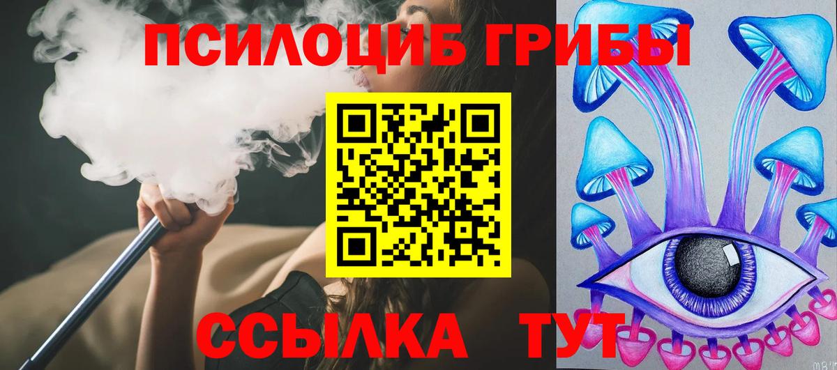Псилоцибиновые грибы GOLDEN TEACHER Кольчугино