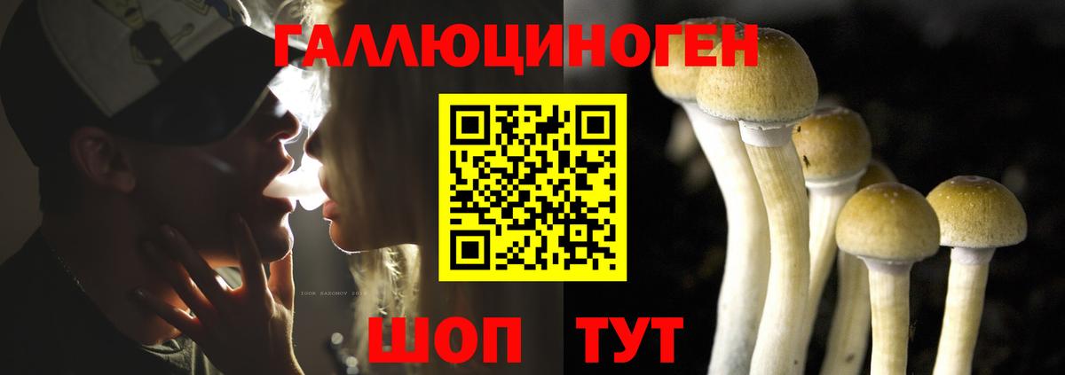 закладка  Вход с VPN  Кольчугино  Галлюциногенные грибы GOLDEN TEACHER 